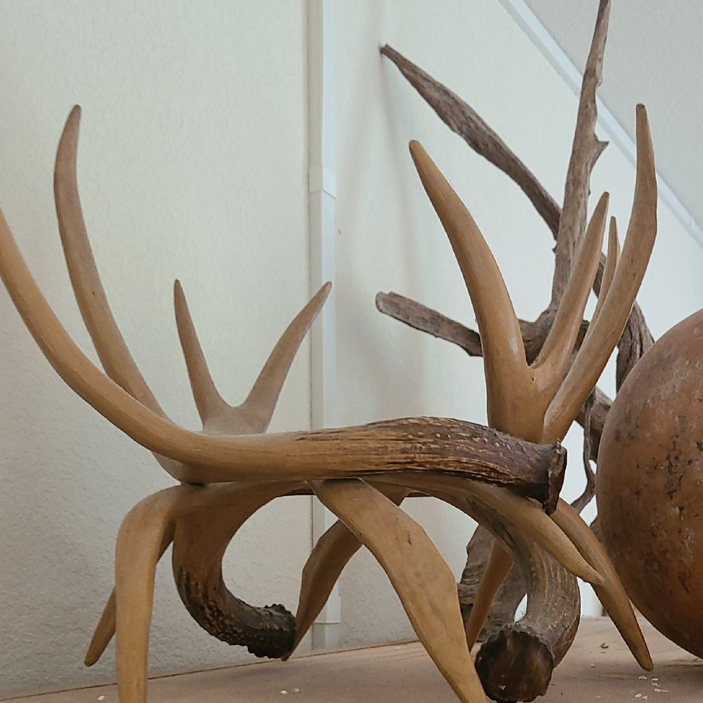 Manmade Hughes Collection Antler Decor